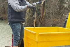 5c600cdc-c0d9-44b7-a994-223c01095dc1