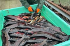 7f3ed7f6-1004-4dd0-a3e4-c862a3eac035