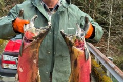 c6bbd1ba-d8bd-47a9-8863-ab3b7921c00a